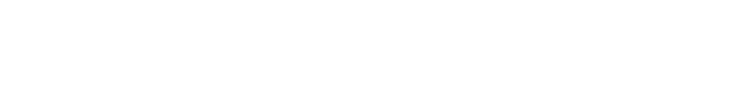 Kokodame logo light